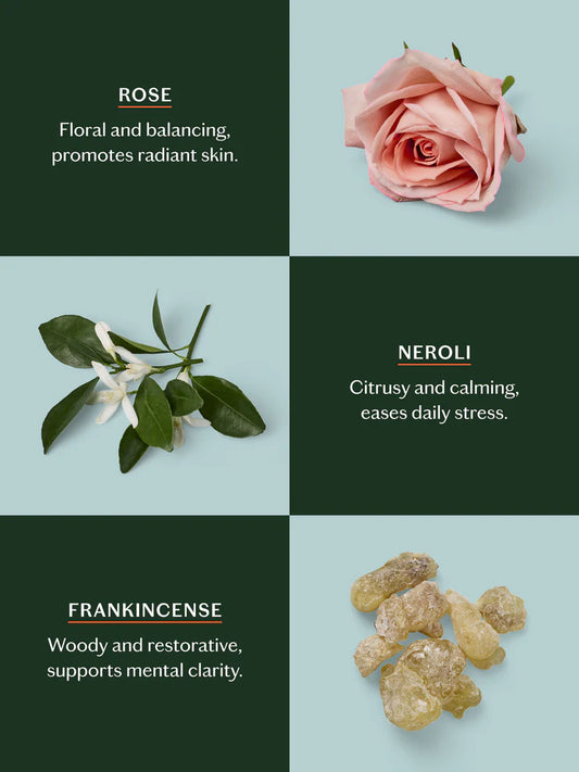 Kate Mcloud Daily Stone Starter Kit