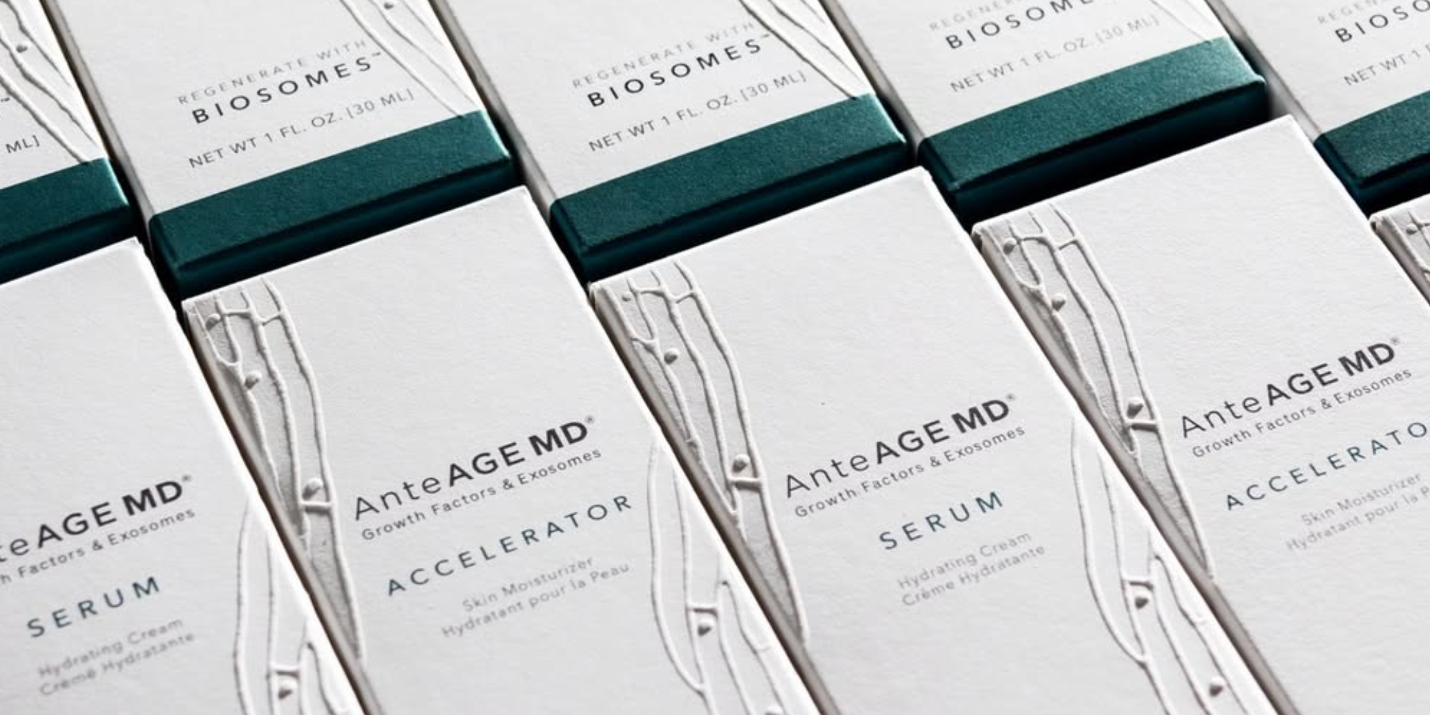 AnteAGE