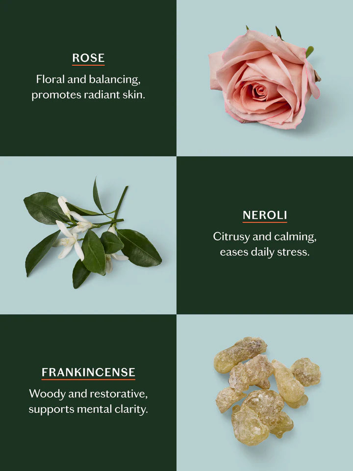 Kate Mcloud Daily Stone Starter Kit