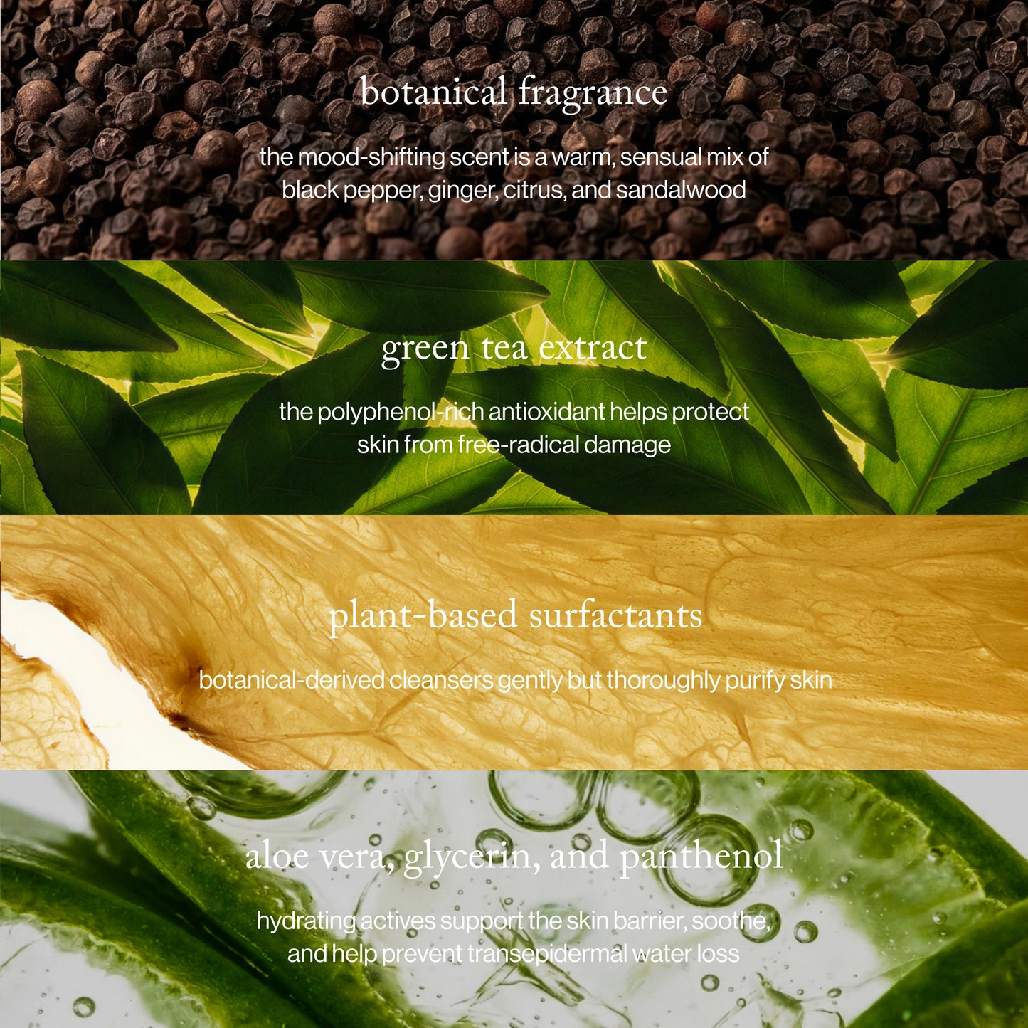 Goop - Black Pepper + Ginger Grounding Body Wash