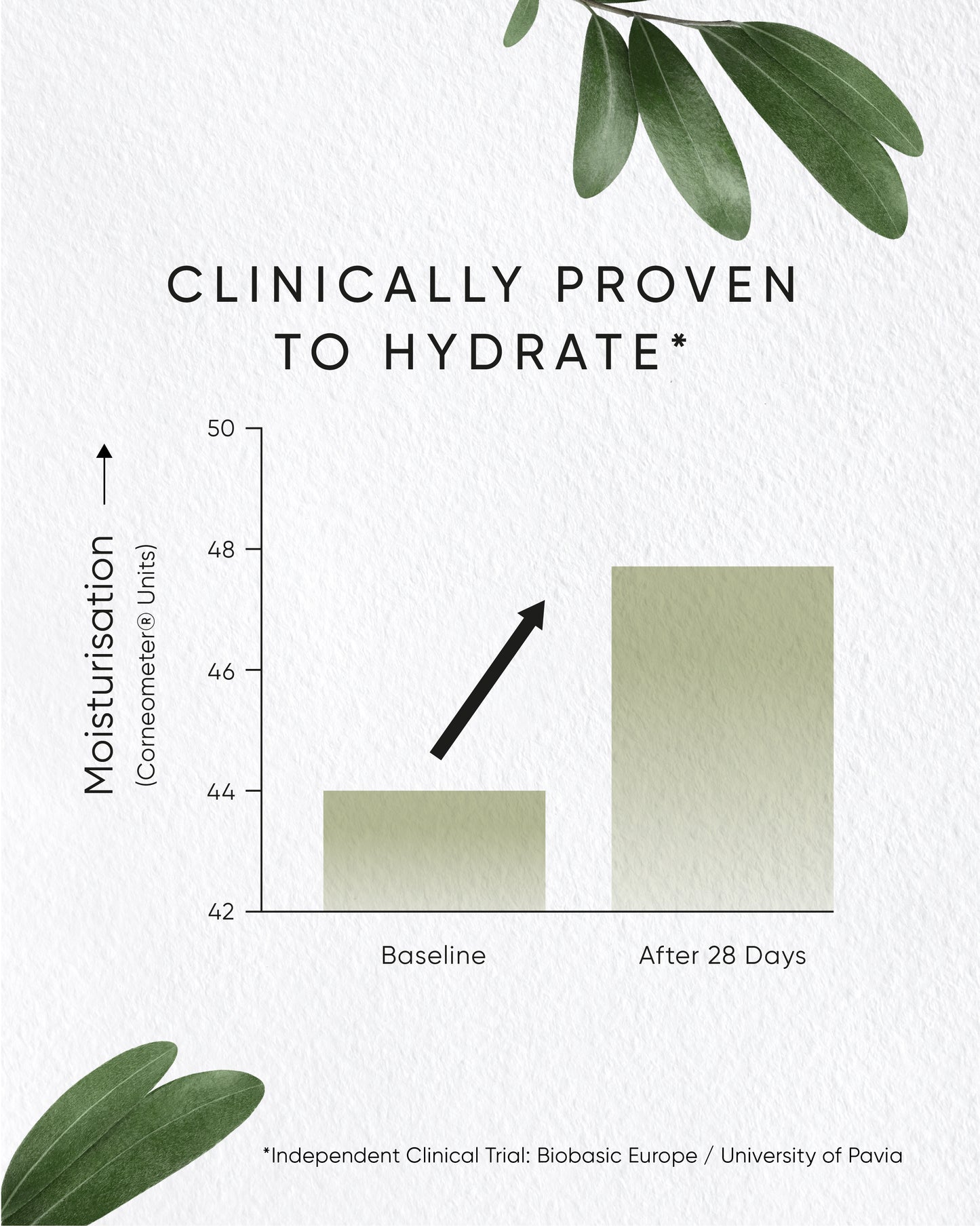 Irene Forte - Olive Hydrating Eye Cream