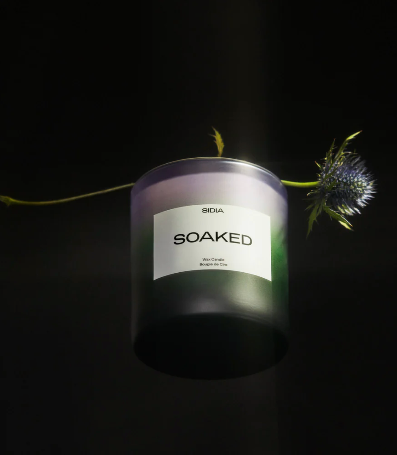 Sidia Candle: Soaked